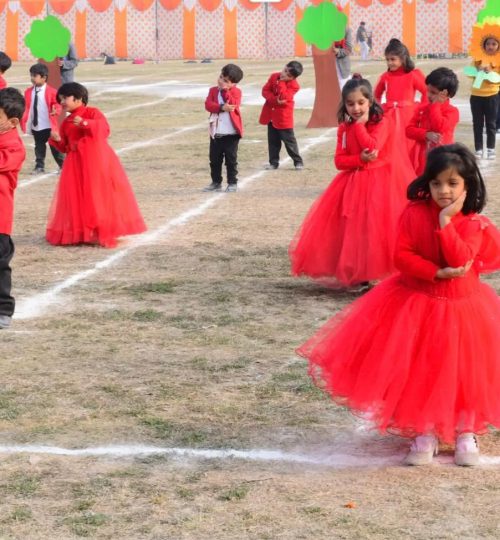 WhatsApp Image 2025-11-27 at 12.07.46_a05b09ce